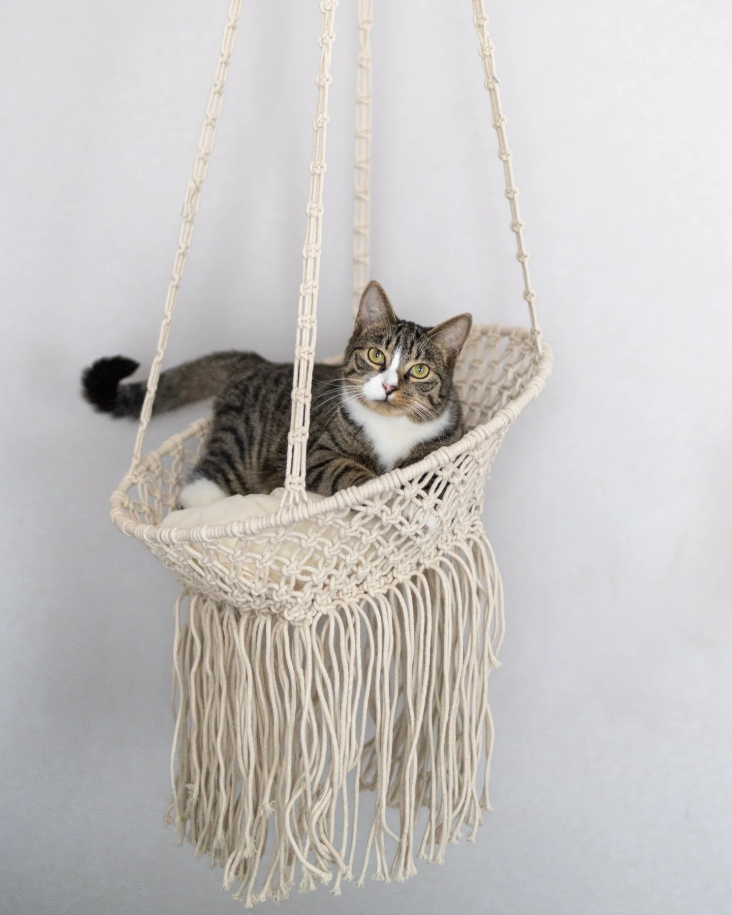 Louie Hanging Handmade Macrame Cat Bed $80 Today Only - Image 5