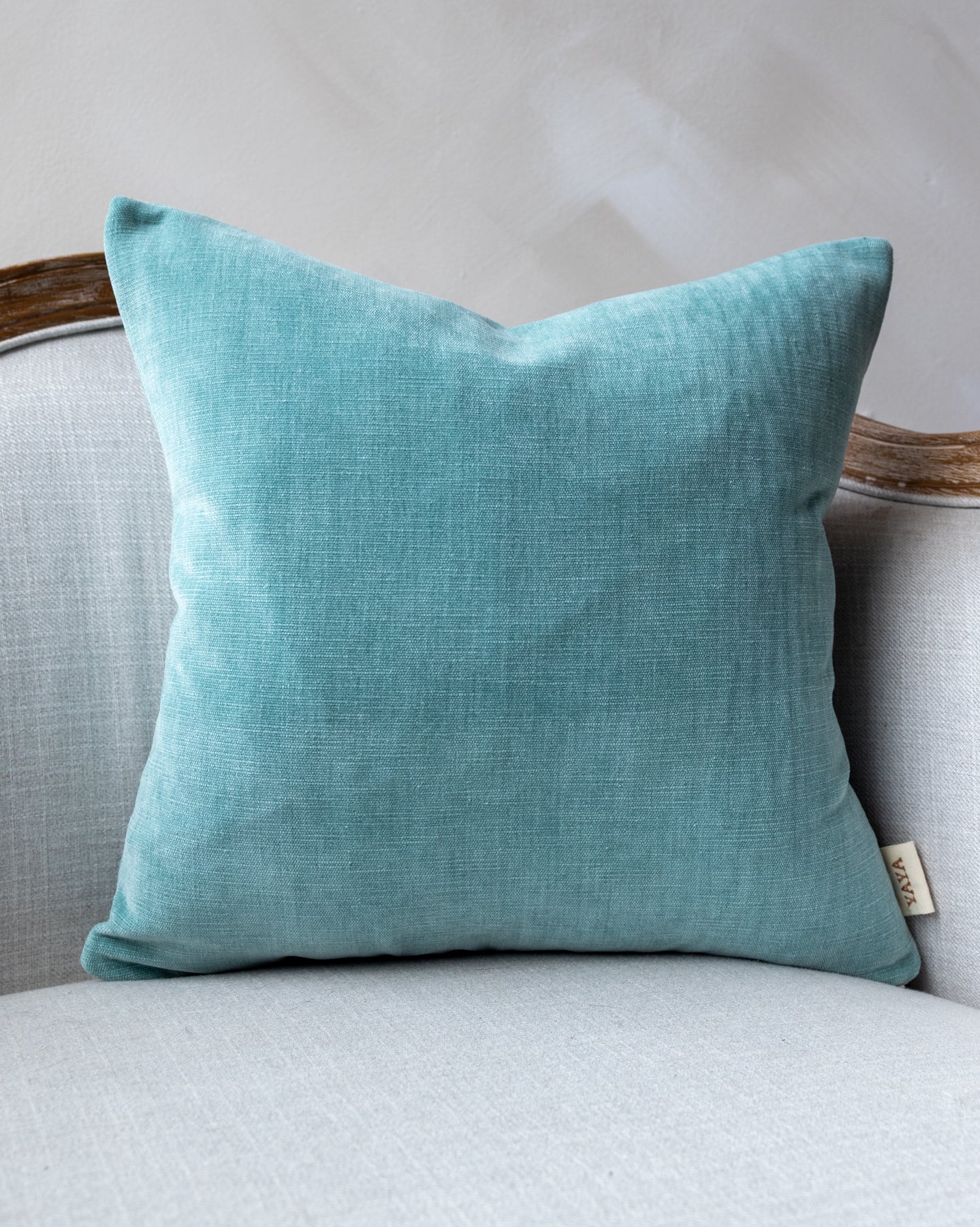 Paula Velvet Throw Pillow